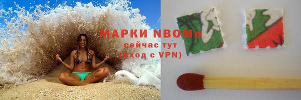 соль ск Новозыбков