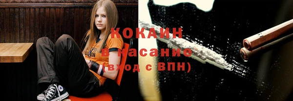 сатива Нягань