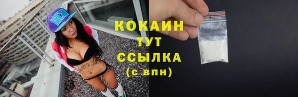 сатива Нягань