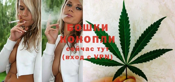 сатива Нягань