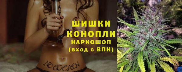 сатива Нягань