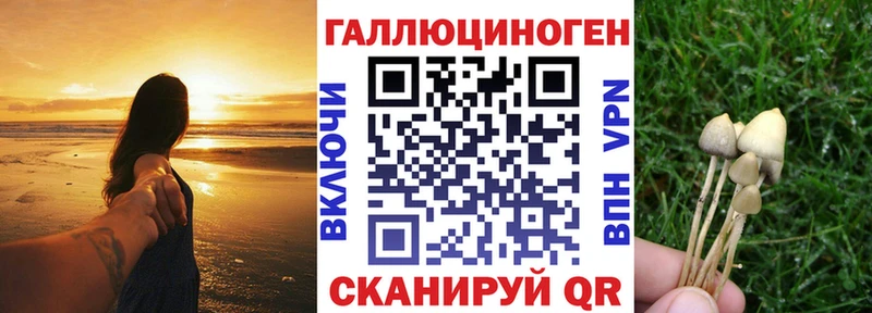 Галлюциногенные грибы MAGIC MUSHROOMS Ипатово
