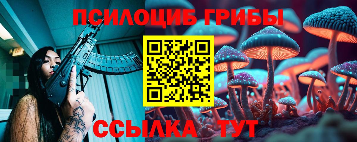 Псилоцибиновые грибы Magic Shrooms  продажа наркотиков  Вход с VPN  Ипатово  Псилоцибиновые грибы MAGIC MUSHROOMS 