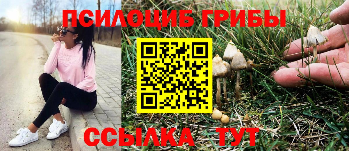 Галлюциногенные грибы прущие грибы Ипатово